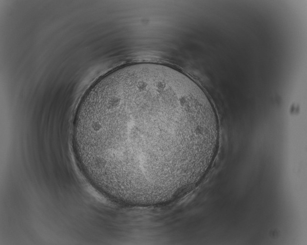 X0000110710049200906261441