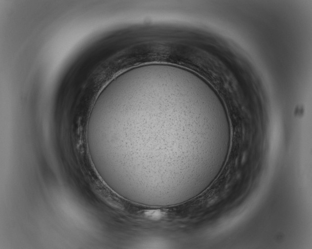 X0000110710050200906261441
