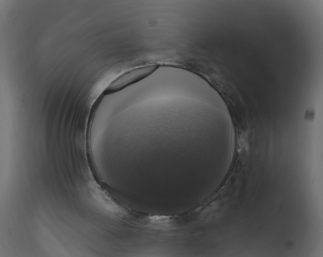 X0000110710052200906261441