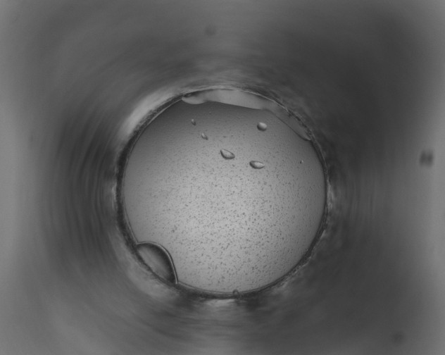 X0000110710054200906261441