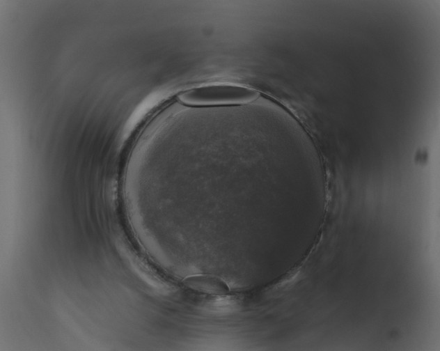 X0000110710056200906261441