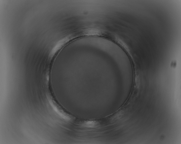 X0000110710059200906261441
