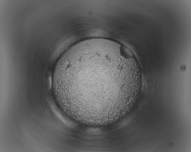 X0000110710061200906261441