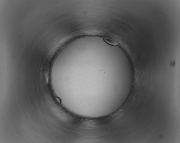 X0000110710062200906261441