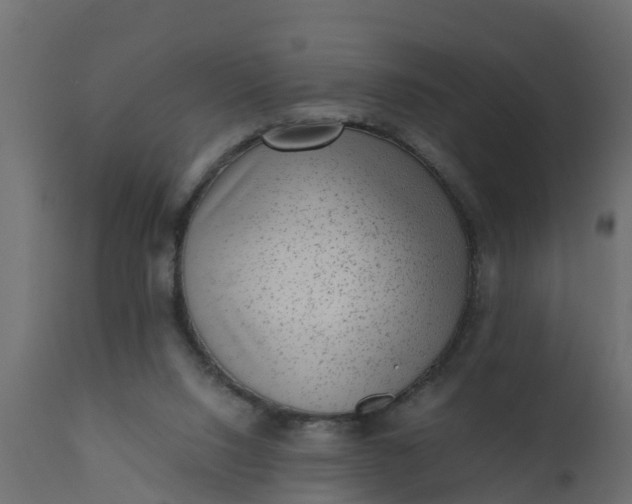 X0000110710064200906261441
