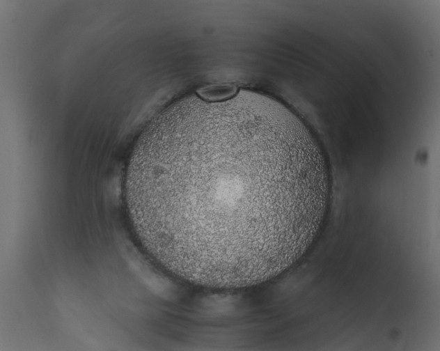 X0000110710065200906261441