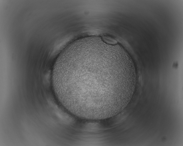 X0000110710066200906261441