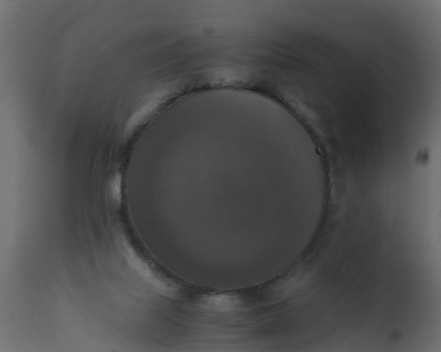 X0000110710067200906261441