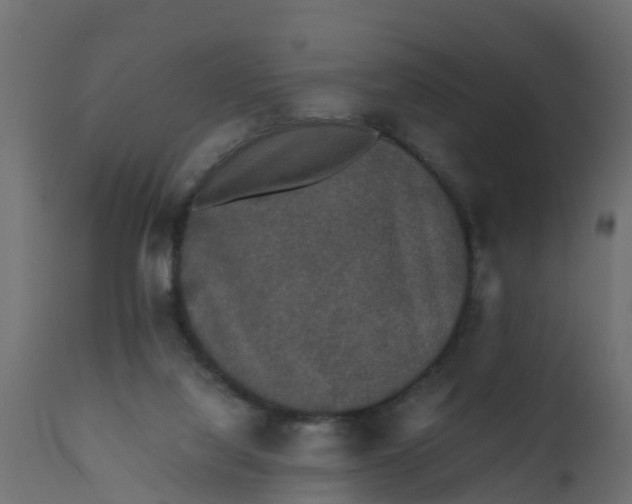 X0000110710068200906261441