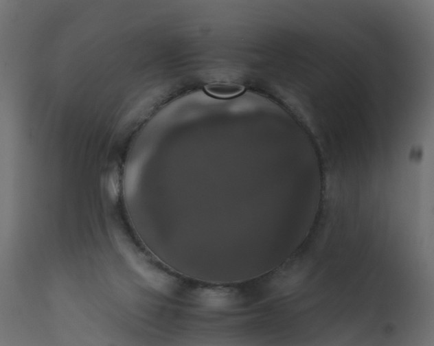 X0000110710069200906261441