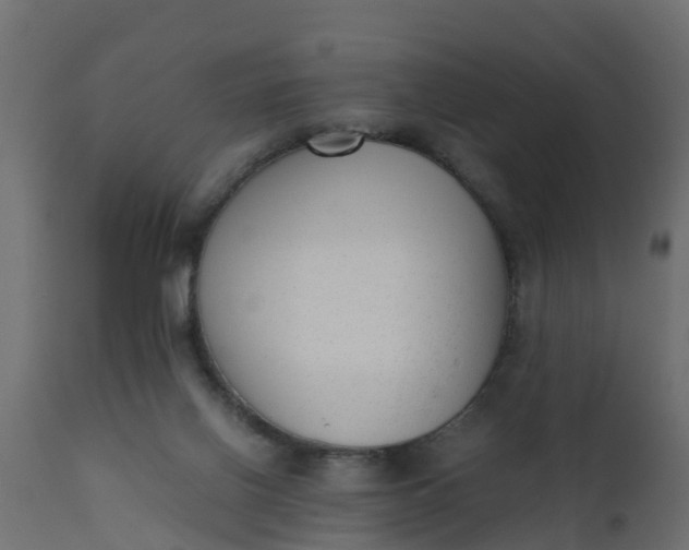 X0000110710070200906261441