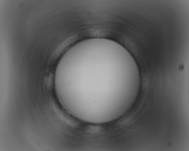 X0000110710071200906261441