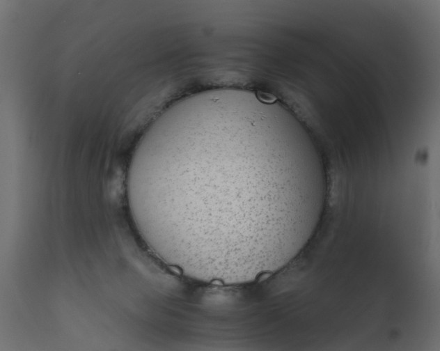 X0000110710077200906261441