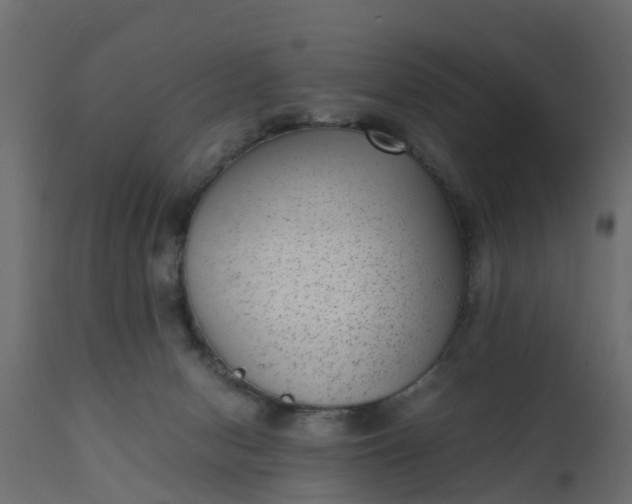 X0000110710078200906261441
