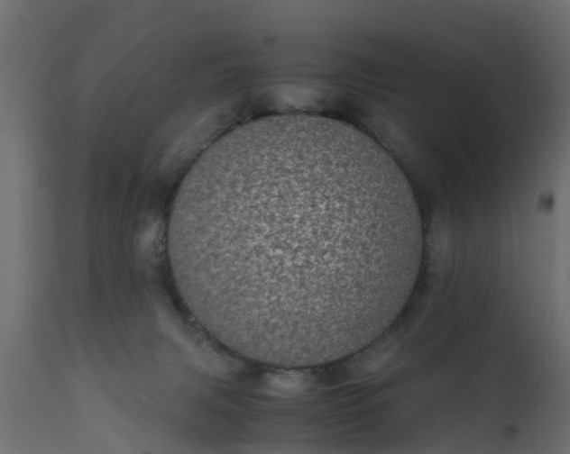 X0000110710079200906261441