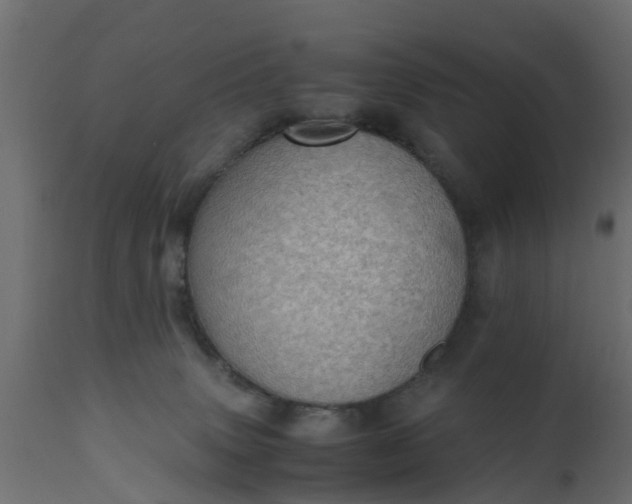 X0000110710083200906261441
