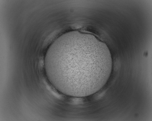 X0000110710085200906261441
