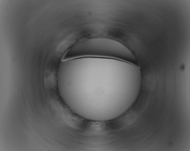 X0000110710088200906261441