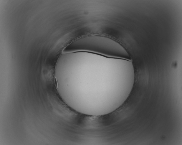X0000110710092200906261441