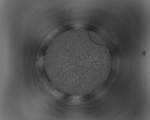 X0000110710093200906261441