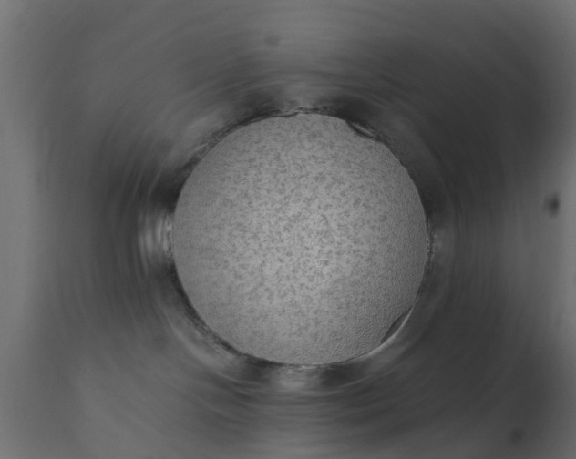 X0000110710094200906261441