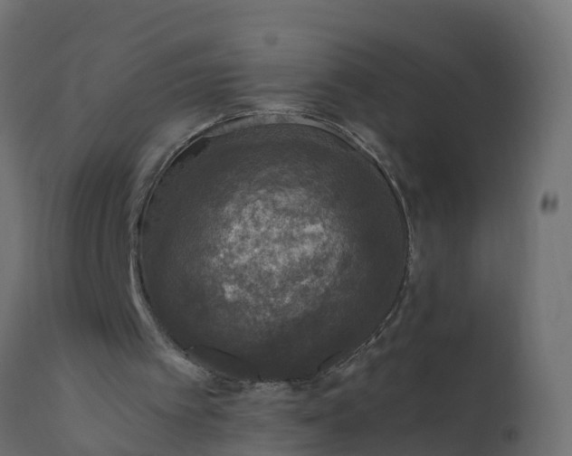 X0000110710097200906261441