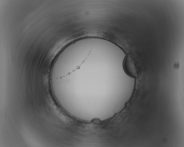 X0000110710098200906261441