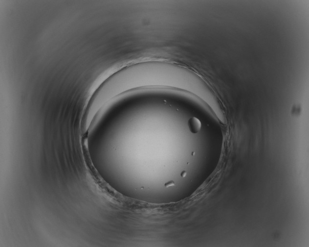 X0000110710100200906261441