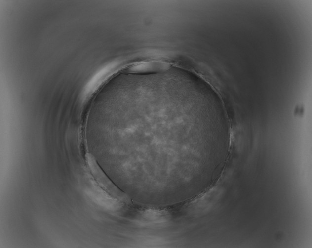 X0000110710101200906261441
