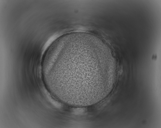 X0000110710102200906261441