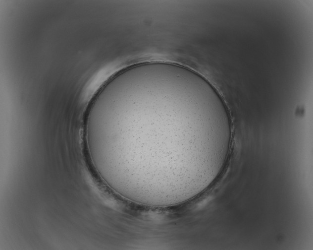 X0000110710103200906261441