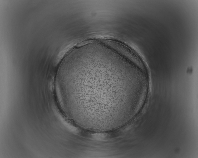 X0000110710105200906261441