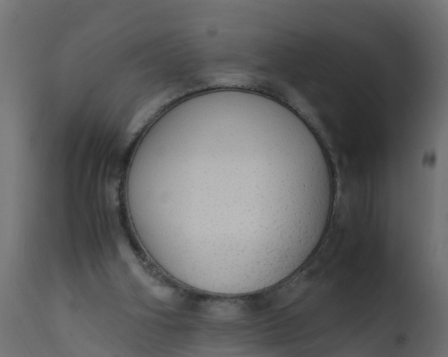 X0000110710106200906261441