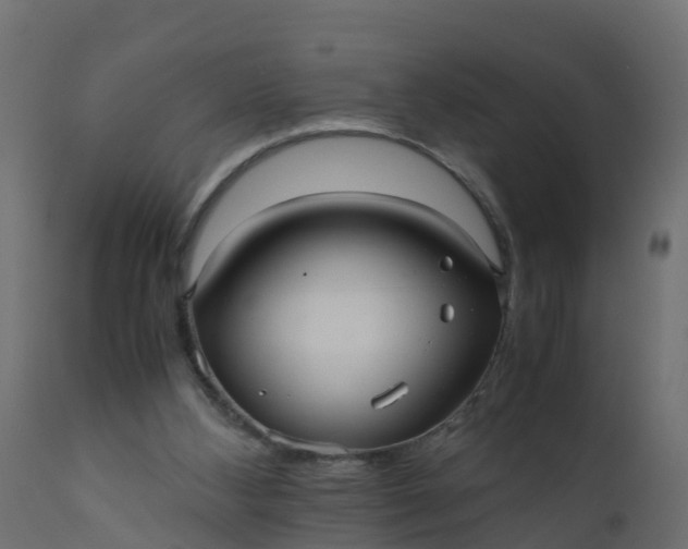 X0000110710108200906261441