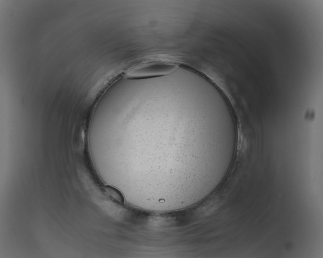 X0000110710109200906261441