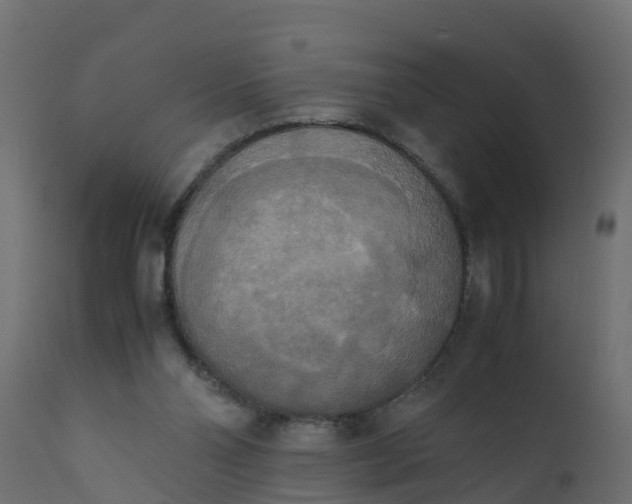 X0000110710110200906261441