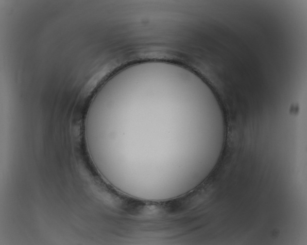 X0000110710111200906261440
