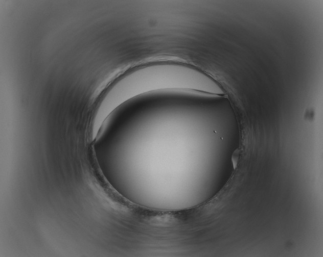 X0000110710112200906261440