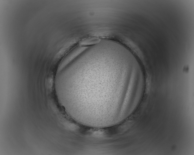 X0000110710113200906261440