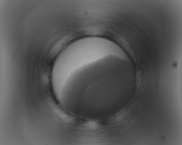 X0000110710114200906261440
