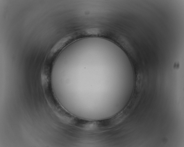X0000110710116200906261440