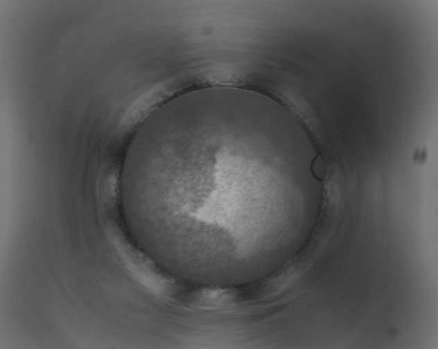 X0000110710117200906261440
