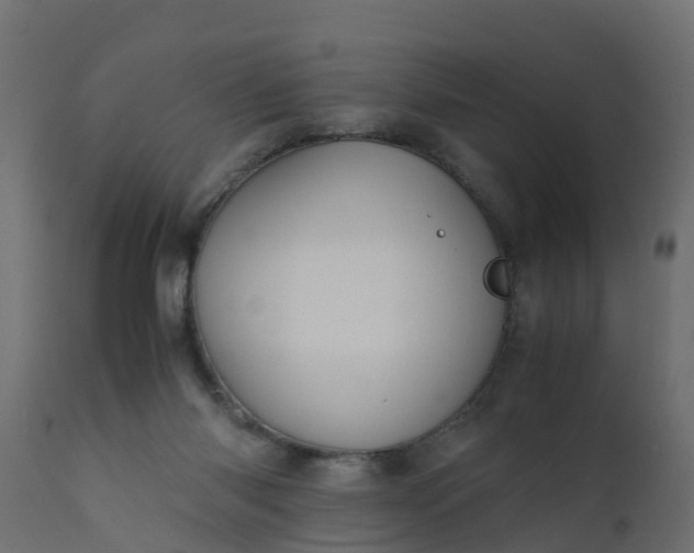 X0000110710118200906261440