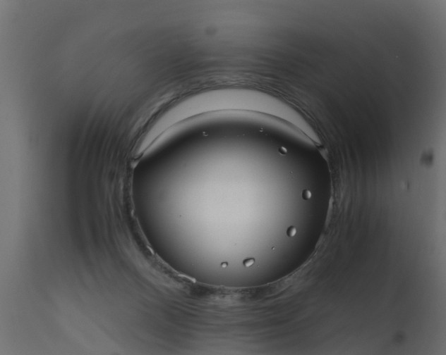 X0000110710120200906261440