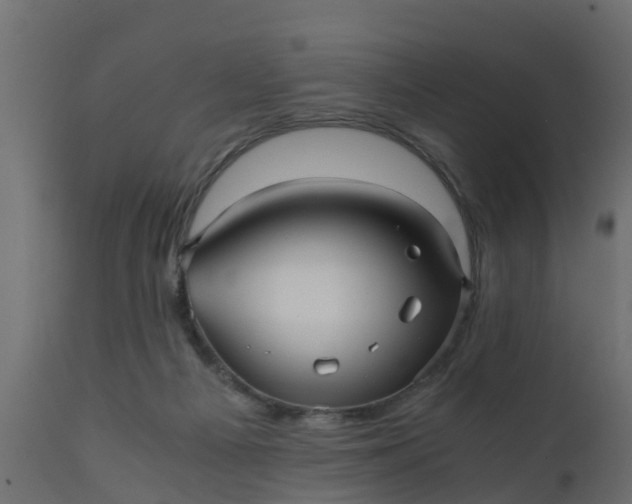 X0000110710121200906261440