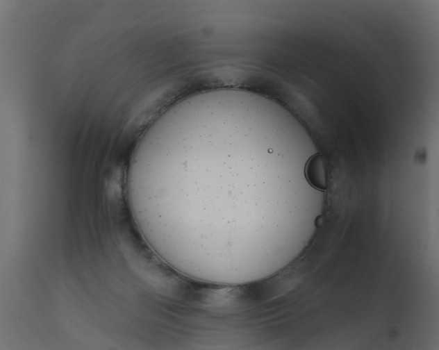 X0000110710122200906261440