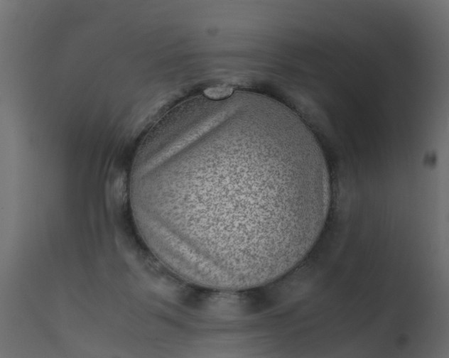 X0000110710123200906261440