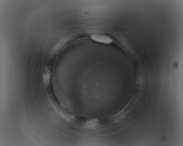 X0000110710124200906261440