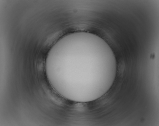 X0000110710126200906261440