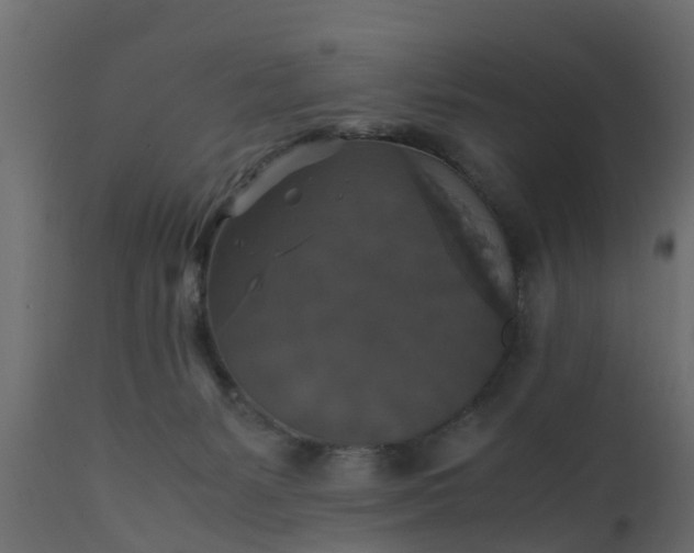 X0000110710127200906261440